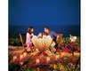 Four Seasons Resort 
